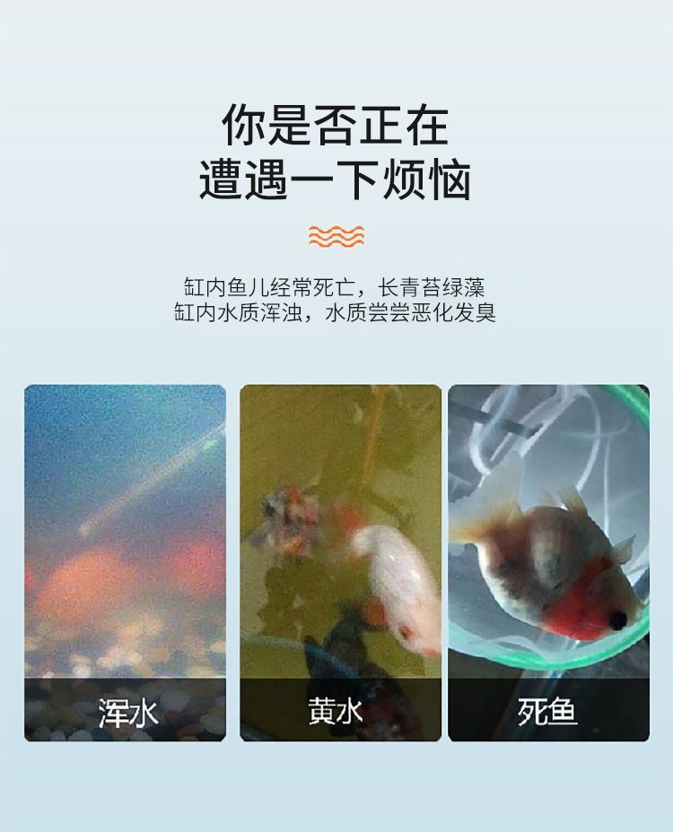 68ae1aa9-95c9-4f5b-bf1e-e0875f7d6650.jpe