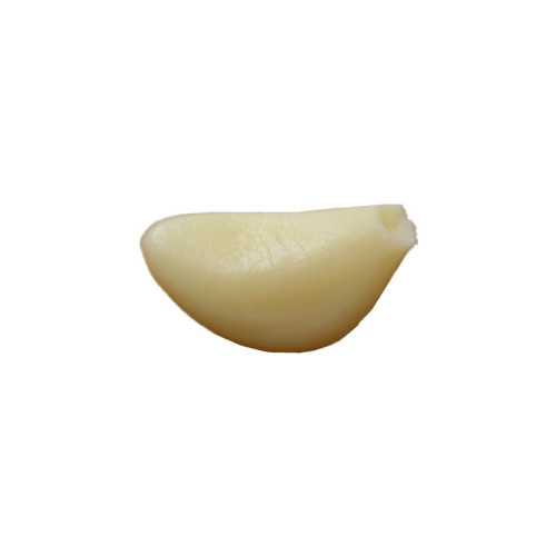 Creative small gifts student food accessories vegetable model simulated garlic clove key chain pendant model