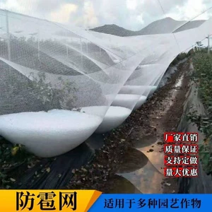 [新疆防雹网果园防鸟网山东农用防雹网冰雹网葡萄防冰雹网防雪网]