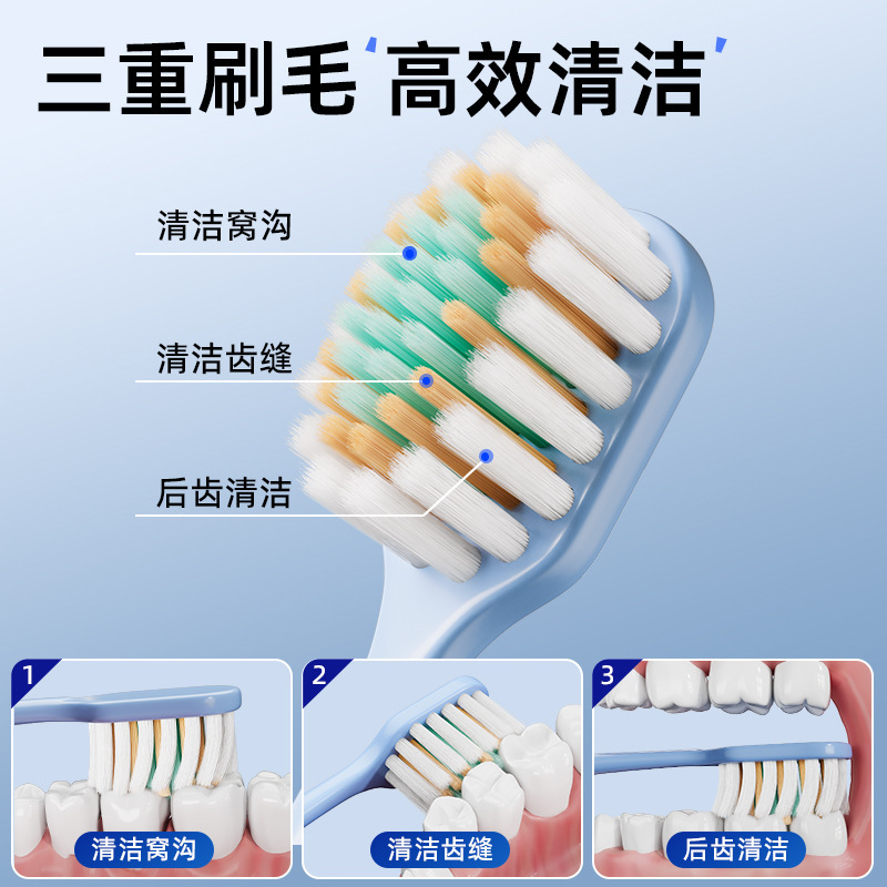 晨客凸面桶装宽頭歯ブラシ、柔らかい毛、家庭用、大人カップル向け、8本入り、大人用高級品|undefined