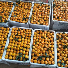 ���S�۽�Сؕ������ɳ�����ӱ�Ƥ�������rˮ��ɰ���������l�S���l