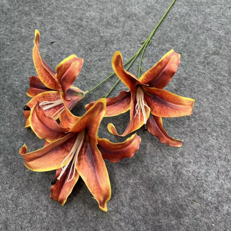 3头百合焦糖色_副本