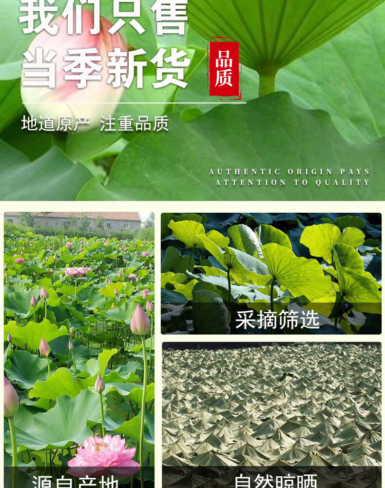 Weishan Lake Lotus Leaf Tea Granules 500g Dried He Ye Loose Herbal Tea for Brewing specifications