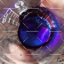 ���l ���Θ˺������b���ļ��ø���׃���ι�W׃ɫ����� ���|��ā