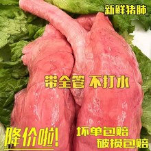 新鲜猪肺生猪肺食用商用土猪下水内脏农家散养冷冻钓鱼便宜肉整箱