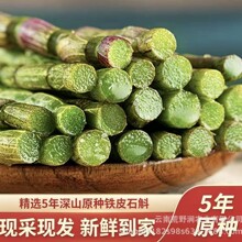铁皮石斛鲜条500g霍山五年生基地药材直销新鲜一件代发一件代发