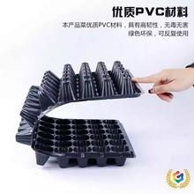 ?����P�Nֲ�I�B���߲����NǤ����r���бP��������Ѩ�P���ϱ�