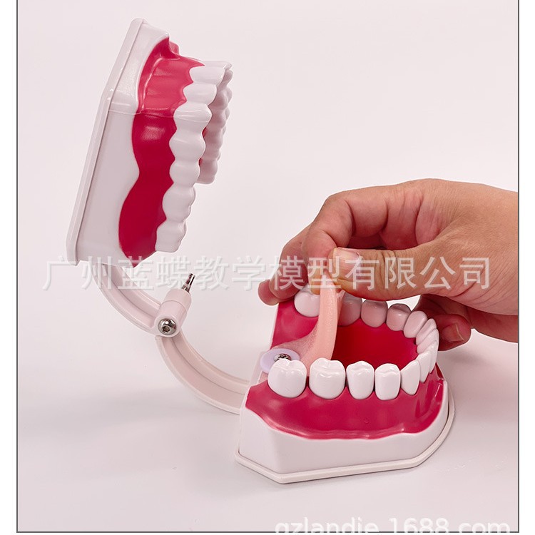 ���Ʋ���/�ݿƺĲ�/��ǻ��е/���ƽ�ѧģ�ͼ���ģ�� ��������ģ��