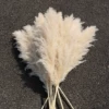 White 60cm 5 pieces
