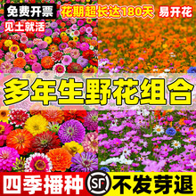 ҰMϻNļN_˹ոɣ̫ꖻտN