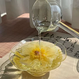 其他农业;库存农产品;其他药食同源