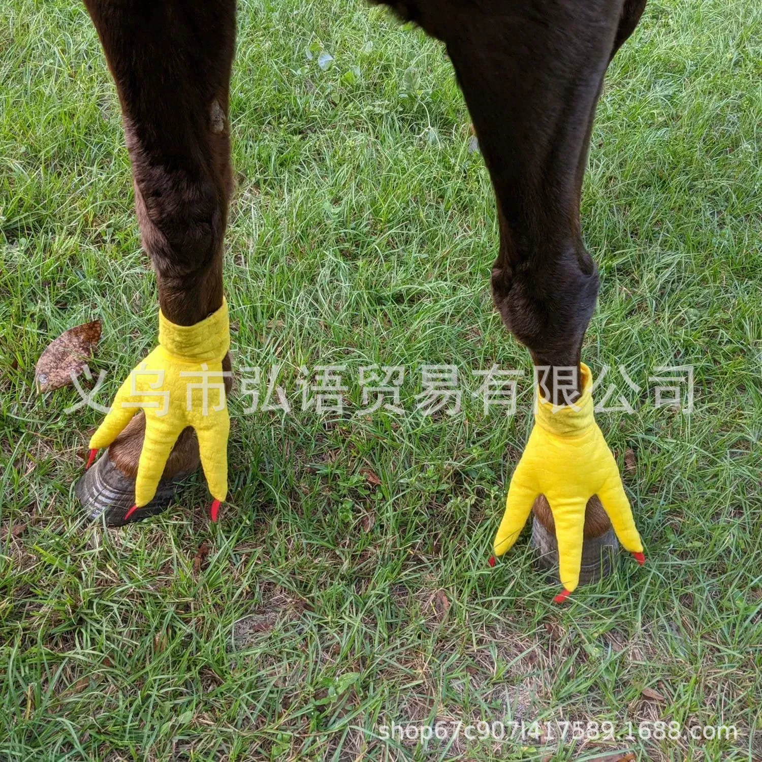 Трансграничные новые Chicken Feet For Horse Куриная подкова Тигр динозавр ножки носки домашние носки