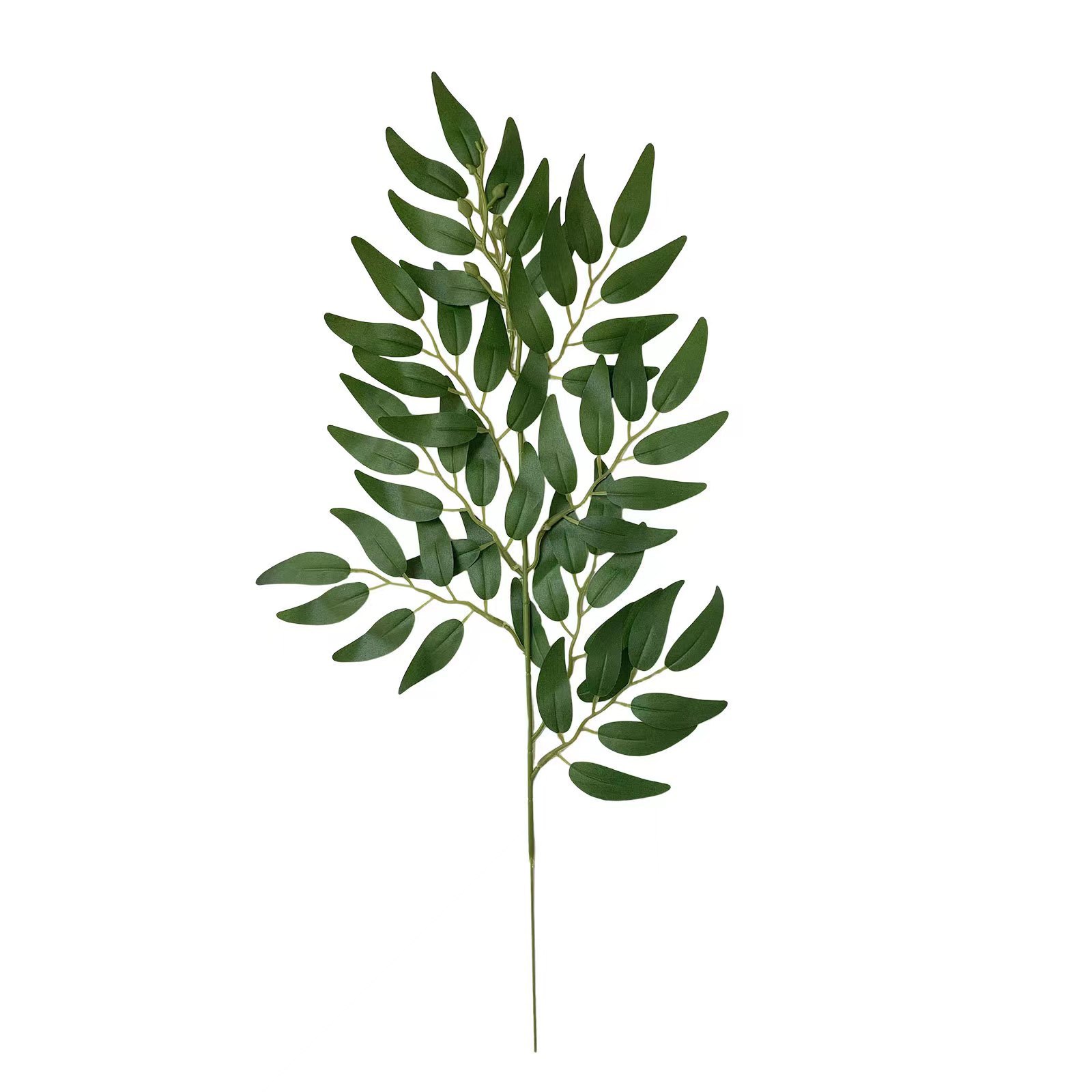 버드나무 잎 단일 가지--녹색