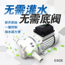 耐腐蚀自吸泵220v小型隔膜泵电动抽水泵抽酒泵海水泵盐酸泵尿素泵