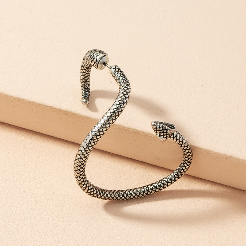 Exaggerated Fashion Retro Snake-shaped Earrings display picture 6