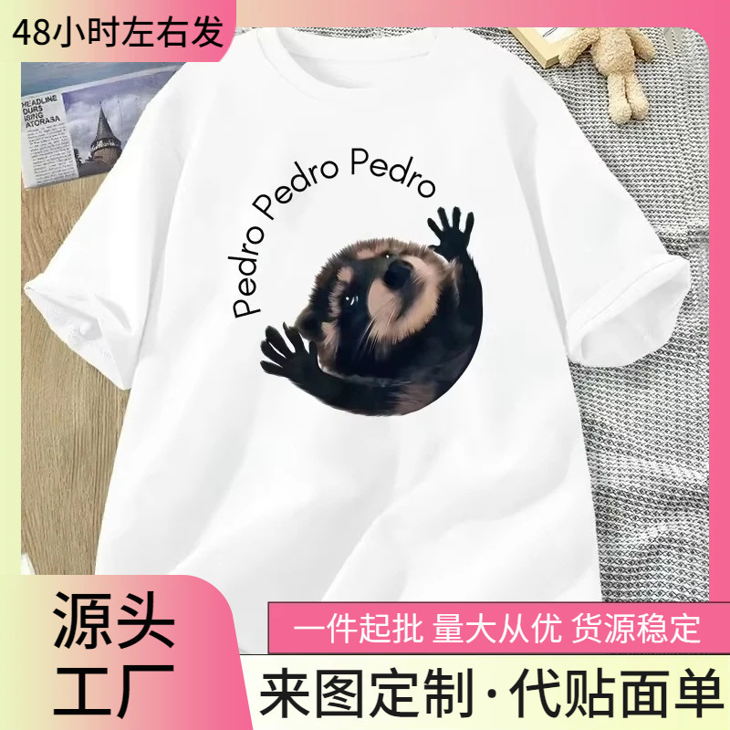 【Cross-Border European Size】Pedro the Raccoon T-Shirt Funny Trash Panda Dancing Meme Graphic T-Shirt for Women Animal