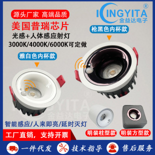 Led Light-Controlled Infrared Human Body Sensor Downlight Embedded Spotlight Home Anti-Glare Entrance Aisle Corridor Sensor Light