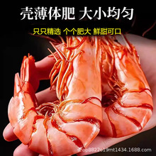 �ش�̖�Ź��r�ɼ�ʳ�r��؛���r�ɰ߹��r���ͶY���r����ʳ