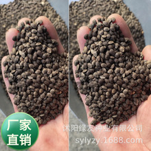 �G�����ѹ�˾���l����N�Ӱ�����N���u�����Ϲ�����ɏ��ʯ��