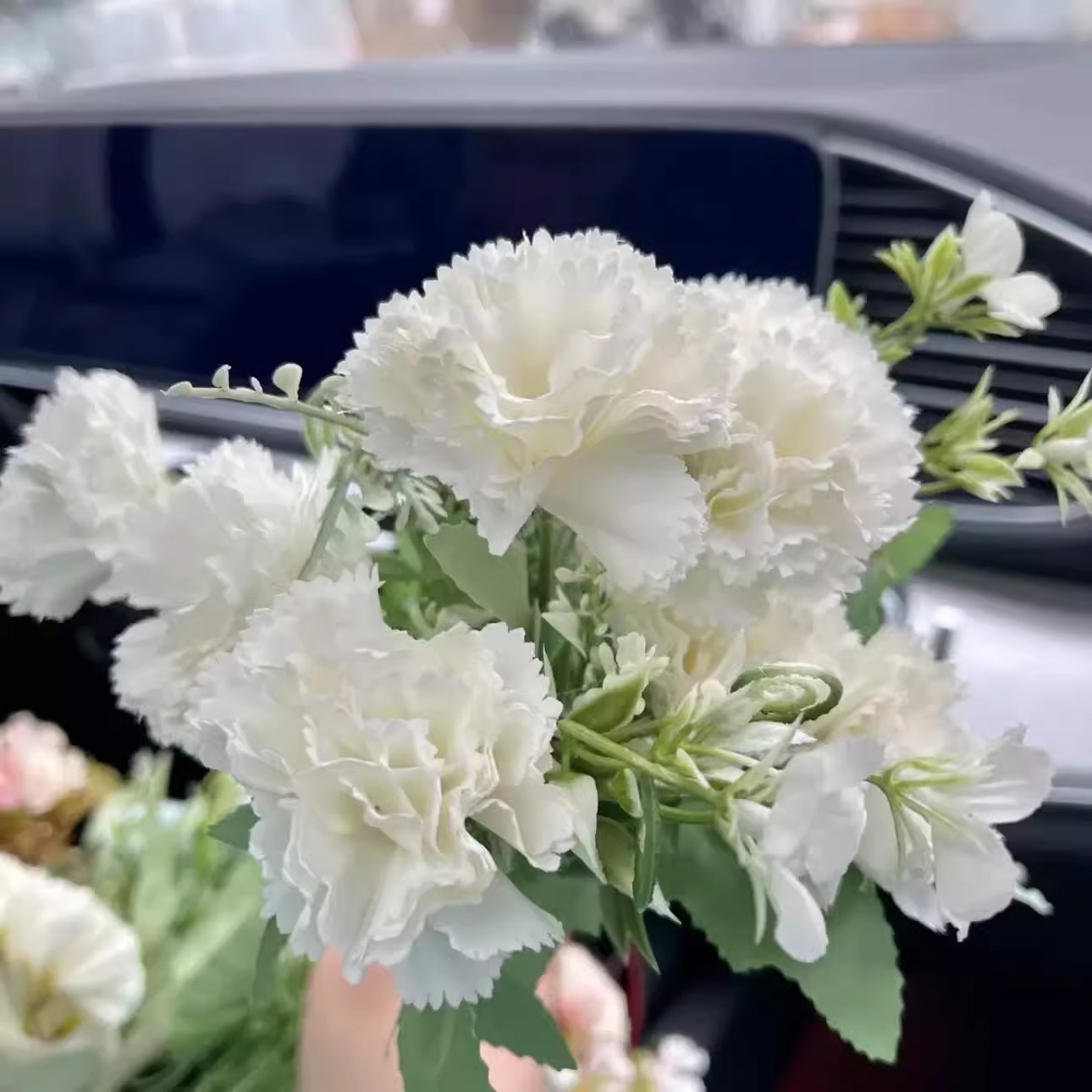 7 claveles blancos en un ramo