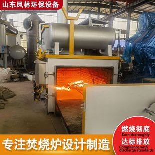 Garbage Incineration Equipment Continuous Garbage Incinerator Environmentally Friendly Small Household Garbage Incinerator Animal Incinerator