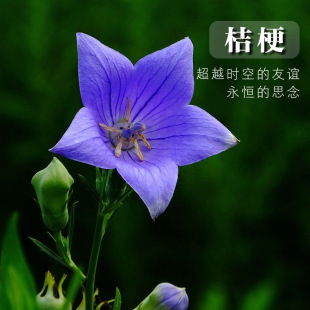 �۹����N�����l��K���њ��򻨻��܈@ˇ�̨���Ի������ܷN��