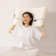 新型輪亜輪ホテルの同じタイプの記憶綿がゆっくりと一人の枕工場に戻ってきます。
