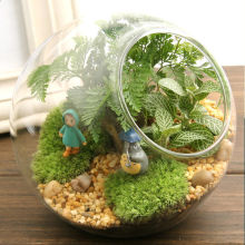 ΢���^ֲ����������ֲ�����նY��̦�\���Bƿ����΢�^�辰���Q���l