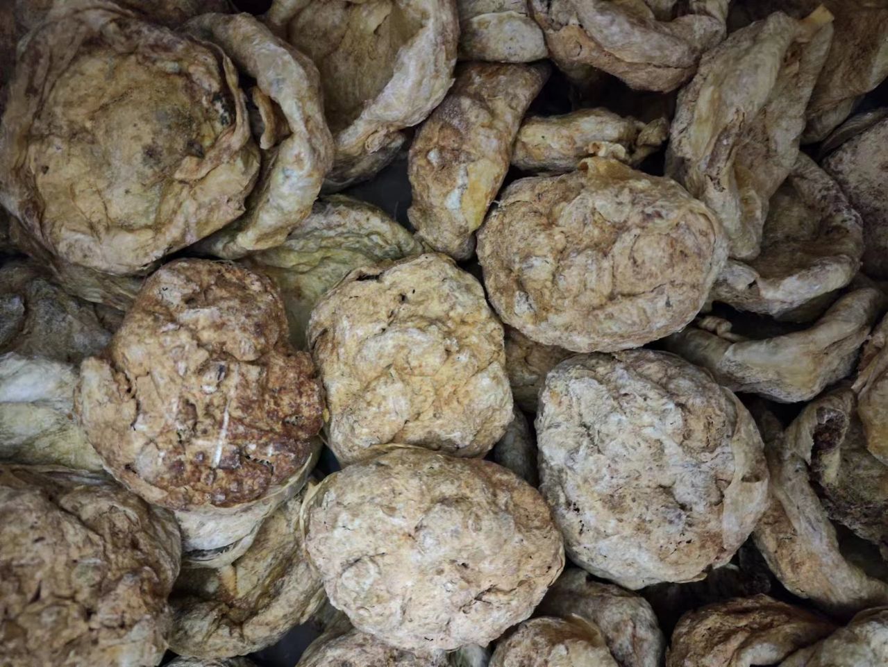 Sheep Placenta (Ovis aries) — Dried Traditional Herbal Material, 500g quality and texture