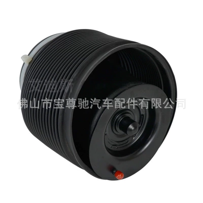 damping system Shock Absorber Rear