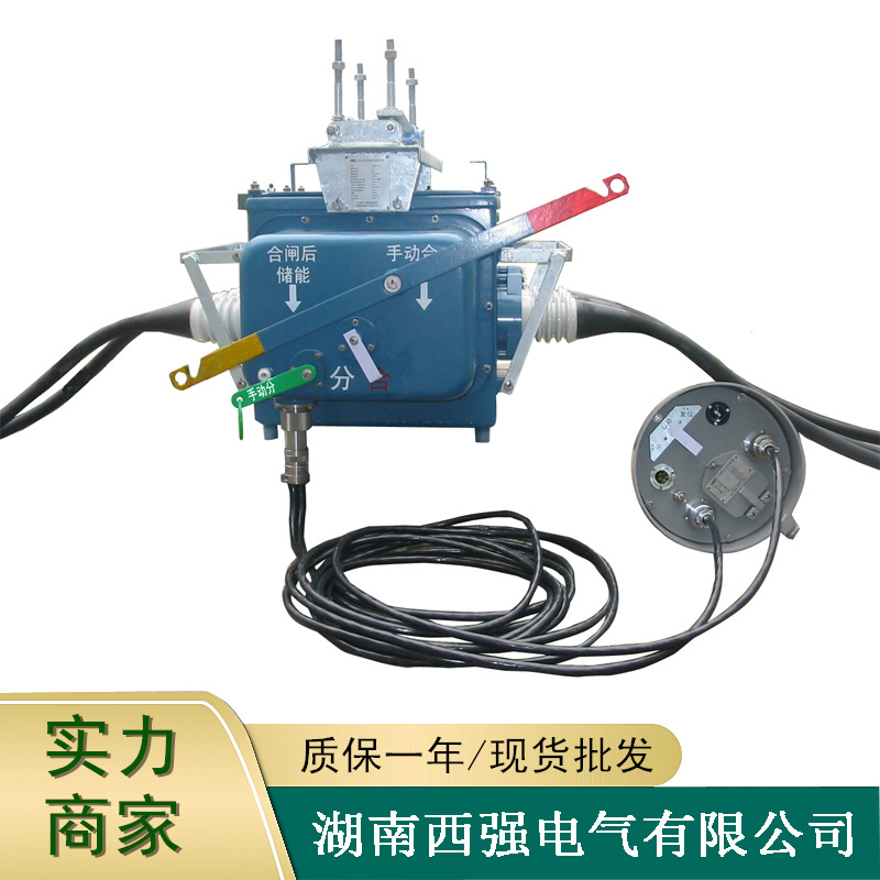 FZW28F-12/T630分界真空断路器10KV高压电动负荷杆上开关智能型