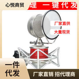 爱秀AIX RC-3幻彩系列小奶瓶式 专业录音电容麦克风K歌话筒