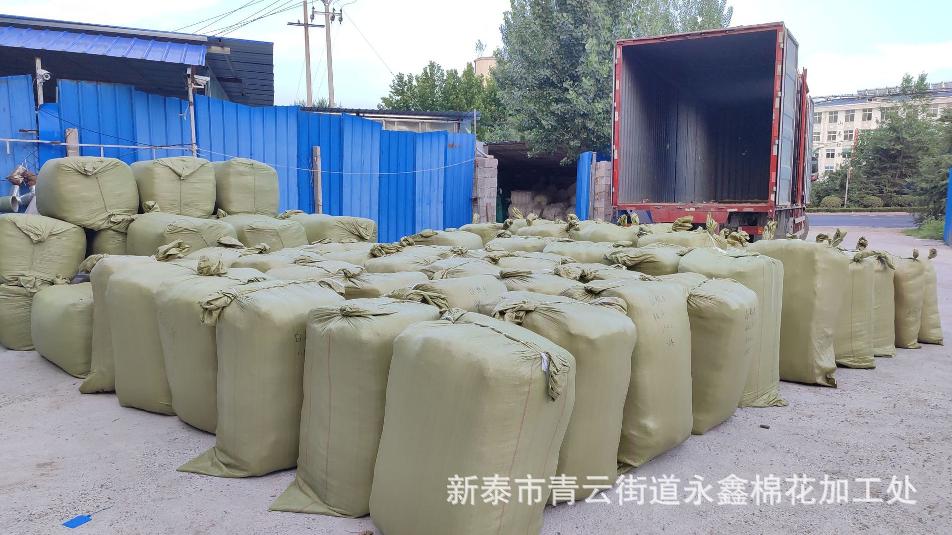 IMG_20210725_183019979_origina