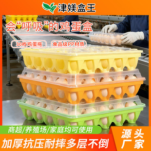 �����u������30ö�b�����u�����D�г����u����ͥ�����ˤ�����w