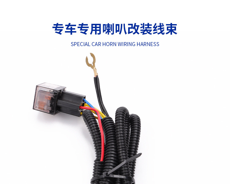 9558a978-dc86-45db-a65a-71381e1dc515.jpe