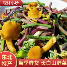 东北土特产长白山野菜野生杂菌蕨菜蘑菇山野菜干山珍长白山特产