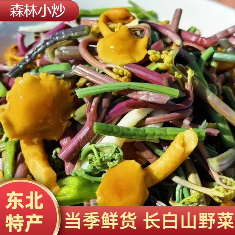 东北土特产长白山野菜野生杂菌蕨菜蘑菇山野菜干山珍长白山特产