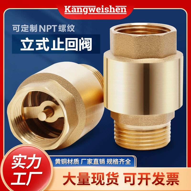 Медный кованый утолщенный анти-водяной самовсасывающий насос односторонний клапан водяной трубы резьбы плоская внутренняя и внешняя проволока пружина вертикальный обратный клапан