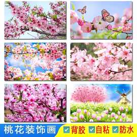 三月桃花大海报画花儿春天图片漂亮风景背景墙卧室装饰不干胶贴纸