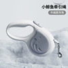 Little whale leads the rope-gray