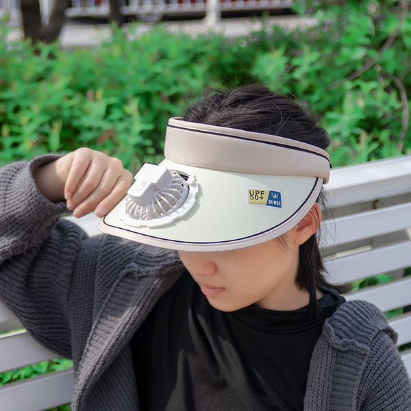 Summer air fan with usb charger