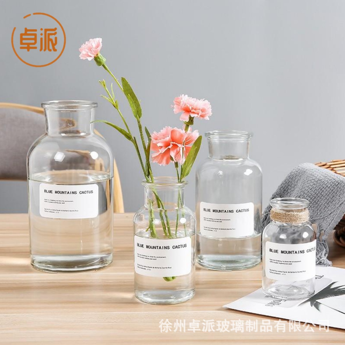 In-Stock Ins-Style Glass Vase Flower Container Reagent Bottle Amber Brown Vintage Industrial Style Flower Vase for Dried Flowers