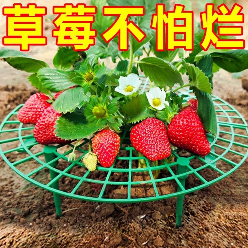 Подставка для клубники, поддон для выращивания клубники дома, зеленая подставка для растений, антиопрокидывающая подставка для растений, подставка для фруктов, подставка для клубники, садовые принадлежности