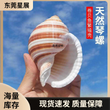 ������Ȼؐ�����ݶ��⻨��[�����߾�ؐ�~�ľ�з��ֳ���~���쾰