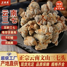 优品文山三七云南仿野生16头20头30头40头500g 可直接打粉批发