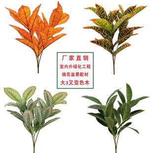 �����߲�׃ɫľ�㴻�~�Gֲ���~�廨����辰�Gֲ�����bٻ��쾰