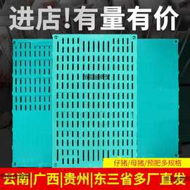 羊床漏粪板塑料猪圈设备仔猪栏保育限位喂羊育肥水泥养殖场地板