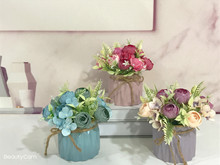 ���Wins����Сĵ���մ��軨 ��ͥ�͏d�����b� �ٻ����Ԕ[��