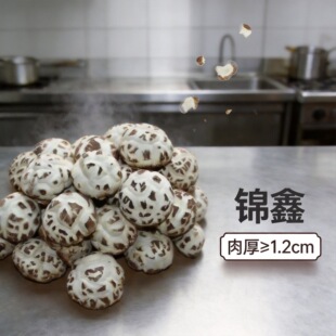 ������׻�����؛��Ʒ�|�󻨹����_��������ă����Ģ���S��ֱ�N