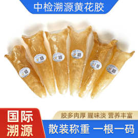 黄花胶带中检溯源码非即食鱼泡鱼鳔孕妇煲汤补养筒胶100克